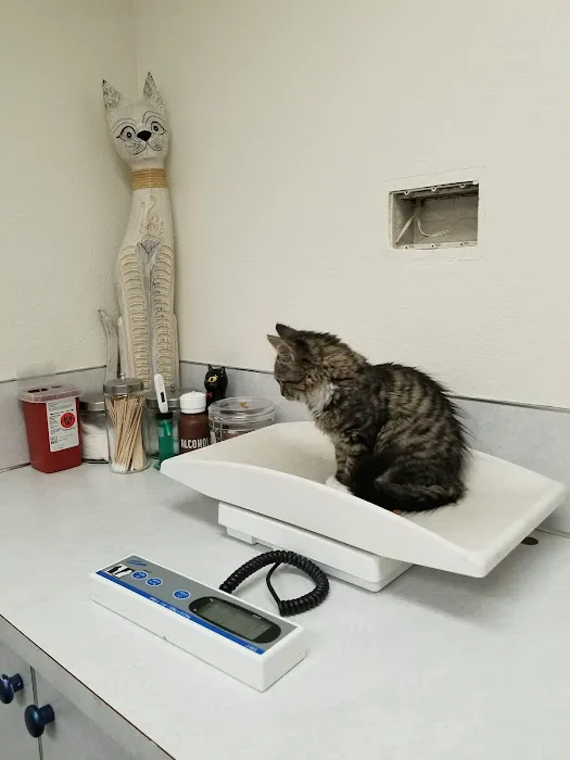 Avenue Veterinary Clinic 1