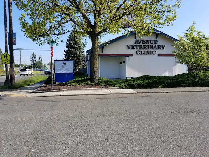 Avenue Veterinary Clinic 3