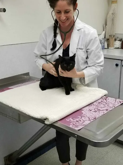 Avenue Veterinary Clinic 8
