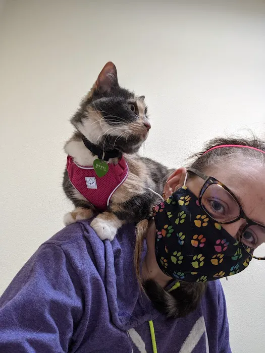 Tacoma Cat Hospital 12