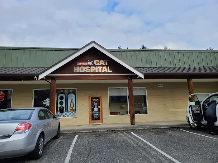 Tacoma Cat Hospital 12