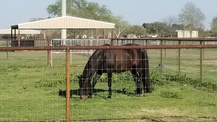 Needville Animal Hospital 10