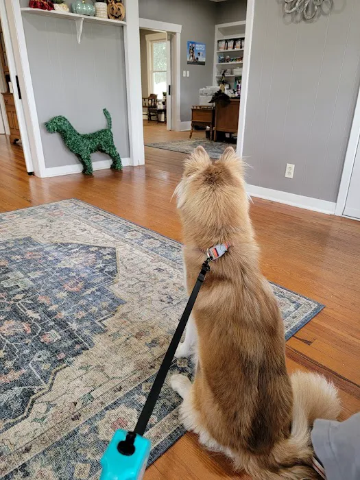 Brazos Oaks Animal Hospital 12