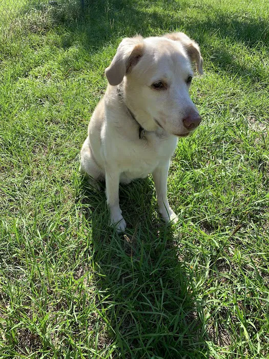 Kirbyville Veterinary Clinic 5