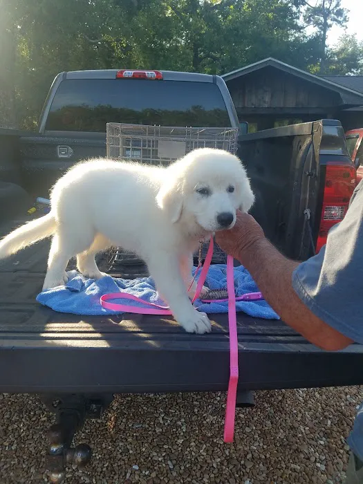 Kirbyville Veterinary Clinic 4