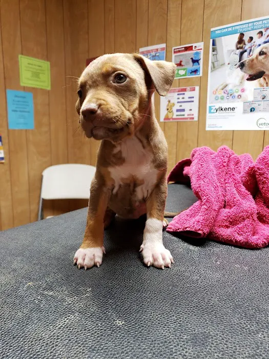 Kirbyville Veterinary Clinic 1
