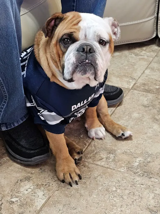 Neighborhood Veterinary Centers 12