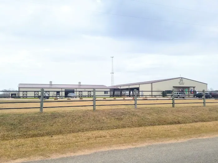 De Cillo Equine Clinic 12