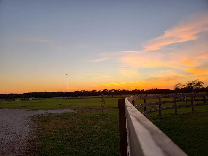 De Cillo Equine Clinic 12