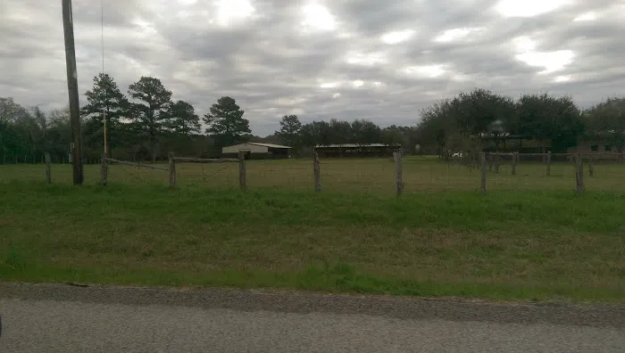 De Cillo Equine Clinic 12