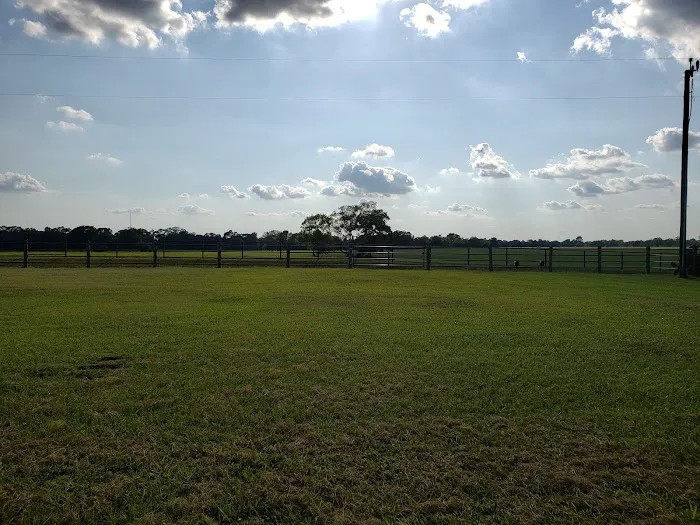 De Cillo Equine Clinic 12