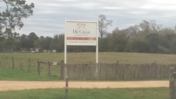 De Cillo Equine Clinic 12