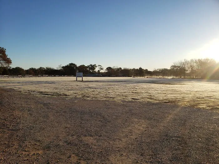 De Cillo Equine Clinic 12