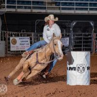Becker Equine ico