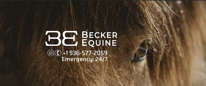 Becker Equine 12