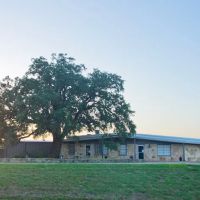 Beard Navasota Veterinary Hospital ico