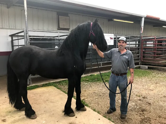Beard Navasota Veterinary Hospital 12