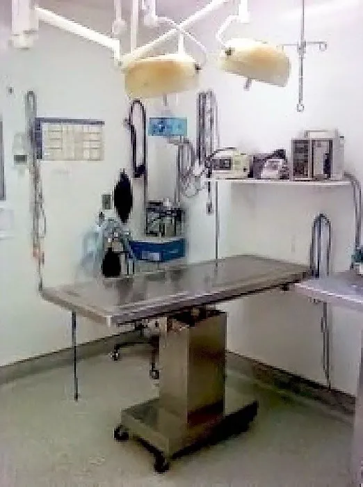 Sunrise Veterinary Group 7