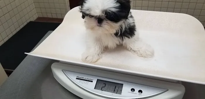 Deer Park Animal Hospital 12