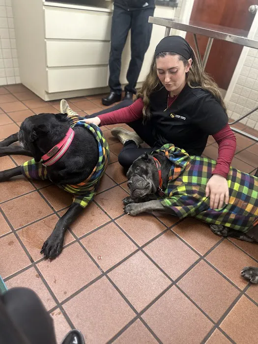 Deer Park Animal Hospital 12