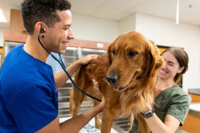 PetSmart Veterinary Services - Commack 12