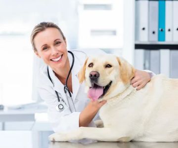 PetSmart Veterinary Services - Commack