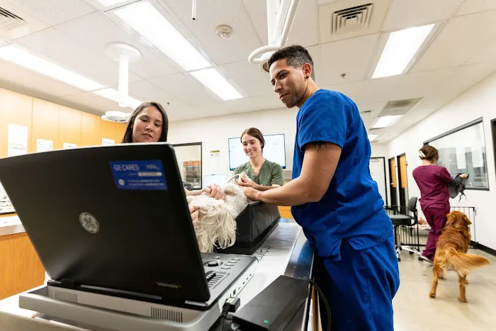 PetSmart Veterinary Services - Commack 12