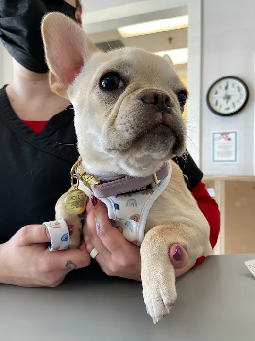 Commack Veterinary Center 12