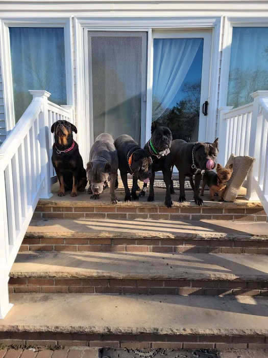 Smithtown Animal Hospital 12