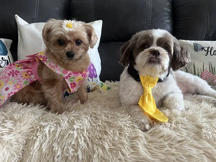 Smithtown Animal Hospital 12