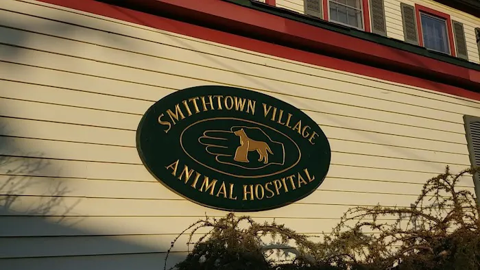 Smithtown Village Animal Hospital 12