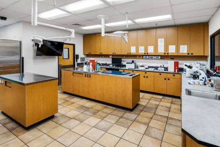 PetSmart Veterinary Services - Stamford