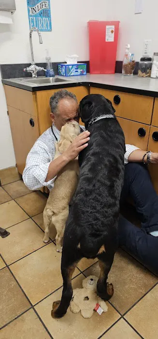 PetSmart Veterinary Services - Stamford 12