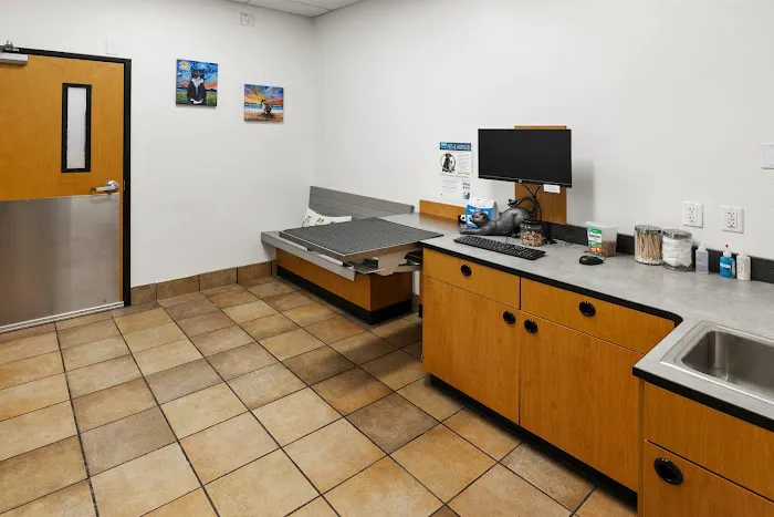 PetSmart Veterinary Services - Stamford 12