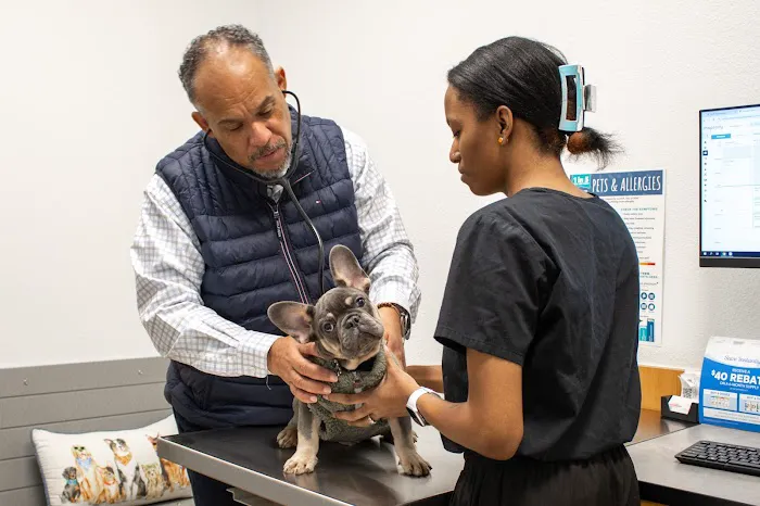 PetSmart Veterinary Services - Stamford 12