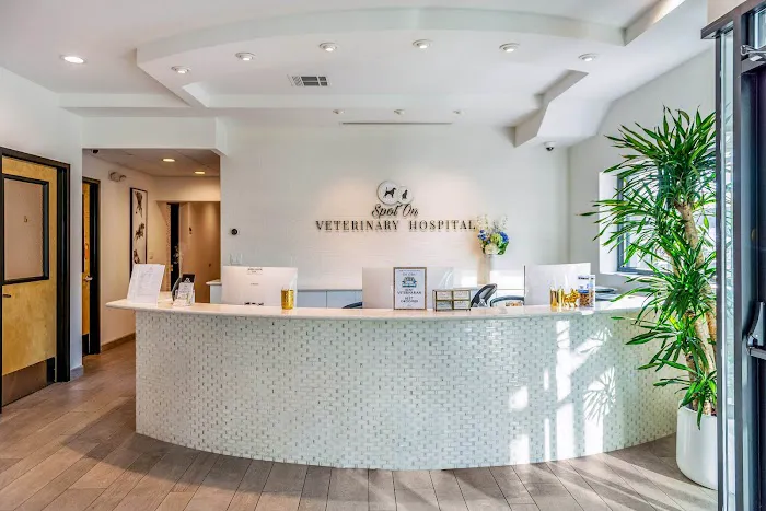 Spot On Veterinary Hospital 12