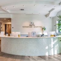 Spot On Veterinary Hospital ico