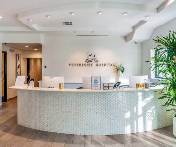 Spot On Veterinary Hospital