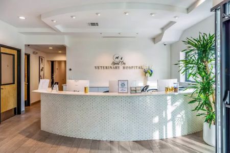Spot On Veterinary Hospital