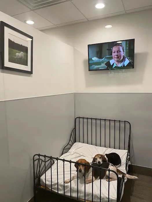 Spot On Veterinary Hospital 12