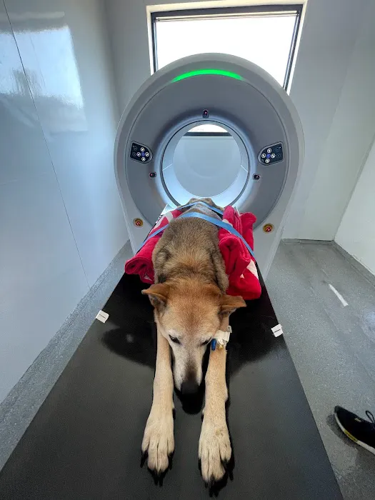 Spot On Veterinary Hospital 12