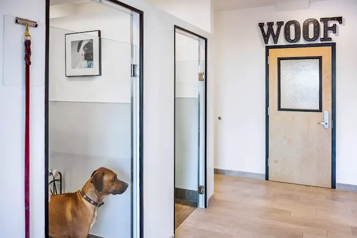 Spot On Veterinary Hospital 12