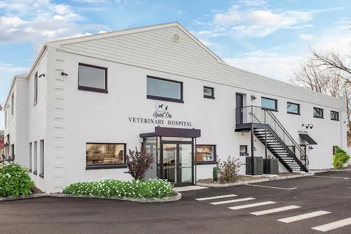 Spot On Veterinary Hospital 12