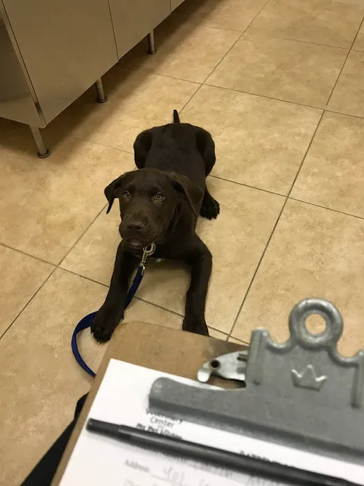Stamford Veterinary Center 7