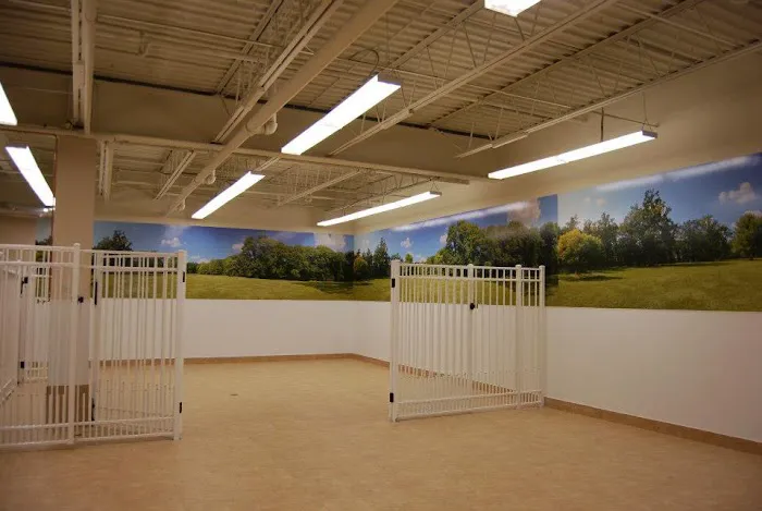 Stamford Veterinary Center 9