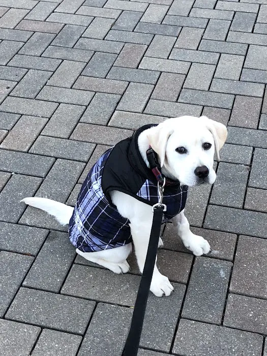 Stamford Veterinary Center 3