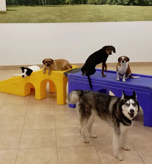 Stamford Veterinary Center 2