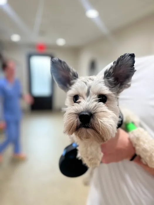 Paws of Hope Veterinary Clinic 6