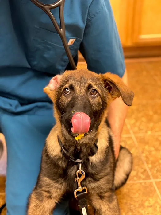 Paws of Hope Veterinary Clinic 3