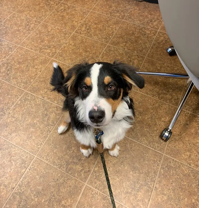 Paws of Hope Veterinary Clinic 9